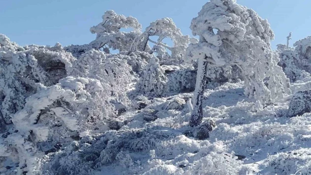 (Özel) Sibirya değil Kazdağları