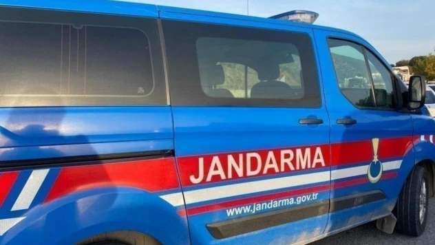 Palet hırsızlarını jandarma yakaladı