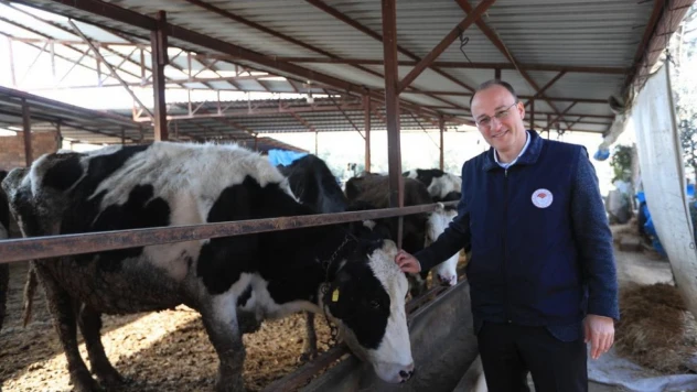 Pamukkale'de 60 bin hayvan ücretsiz aşılanacak