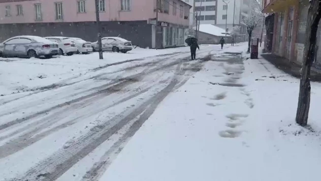 Patnos'ta kar tatili