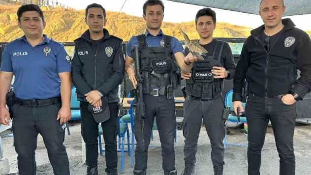 Polisten balaban kuşuna şefkat eli