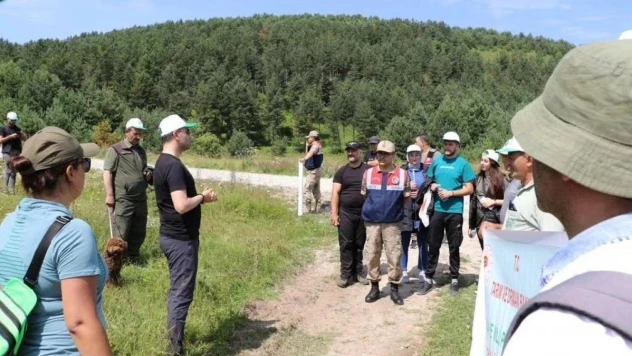 Posof ilçesinde kamp kurup doğa yürüyüşü yapıldı