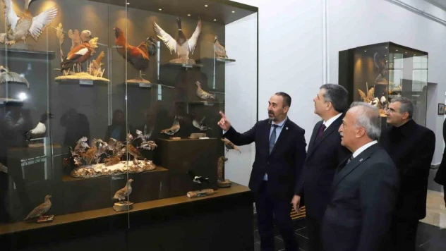 Rektör Çomaklı, Vali Çiftçi'ye Atatürk Üniversitesi'nin Birimlerini Tanıttı