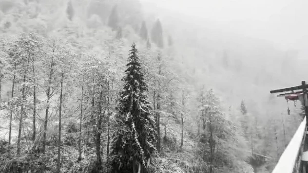 Rize'nin yüksek kesimlerine kar yağdı