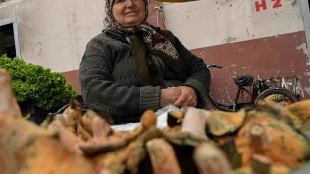 Sabriye teyzenin kanlıca mantarı mesaisi