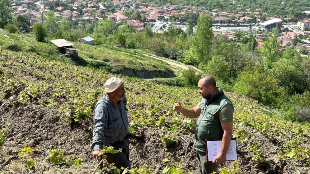 Sahayı adım adım dolaşıyorlar