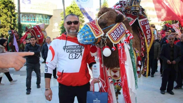 Sahipleri tarafından gelin gibi süslenip jürinin önüne çıktılar