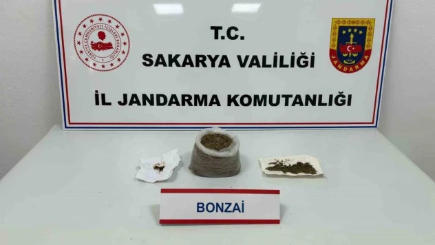 Sakarya'da uyuşturucu operasyonu: 1 tutuklama