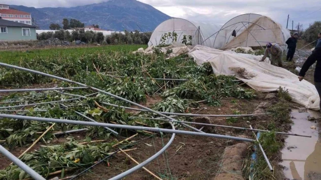 Samandağ'da çıkan hortum seraları yerle bir etti