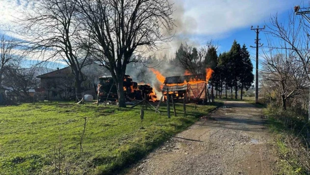 Samanlık alev topuna döndü