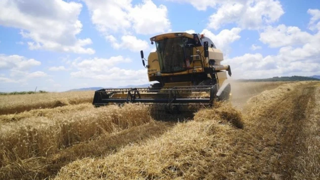 Samsun 2,5 milyon ton buğday ithalatı, 434 bin ton buğday unu ihracatı yaptı