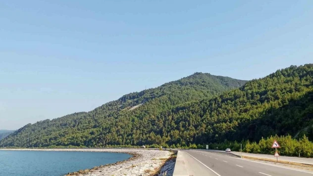 Samsun'a 2023 yılında 504 milyon TL'lik orman yatırımı