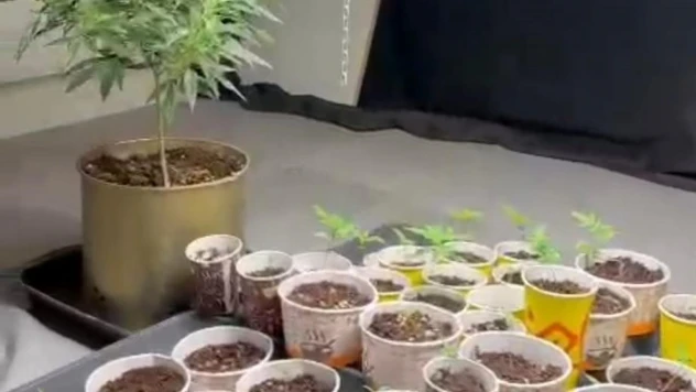 Samsun'da zehir tacirlerine baskın