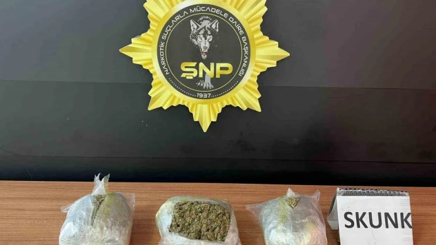 Şanlıurfa'da 1 kilo 600 gram skunk ele geçirildi