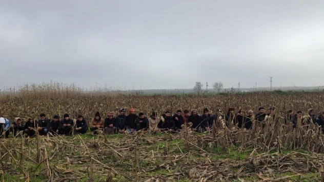 Şanlıurfa'da 29 kaçak göçmen yakalandı