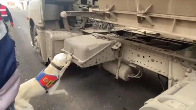 Şanlıurfa'da jandarmadan şok yol uygulaması