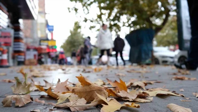 Sararan ve dökülen yapraklar görsel şölen oluşturdu