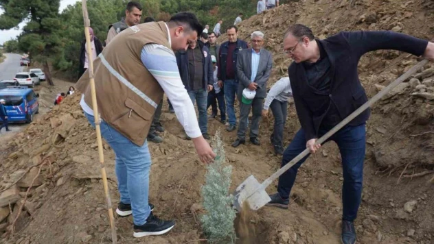 Sarıgöl'de fidanlar yanan ormanlık alana dikildi