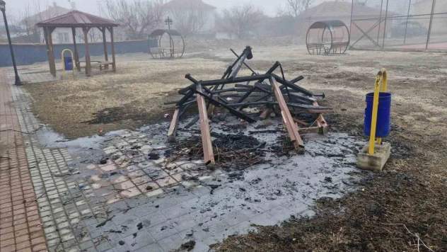 Şehir magandaları parktaki kamelyayı yaktı