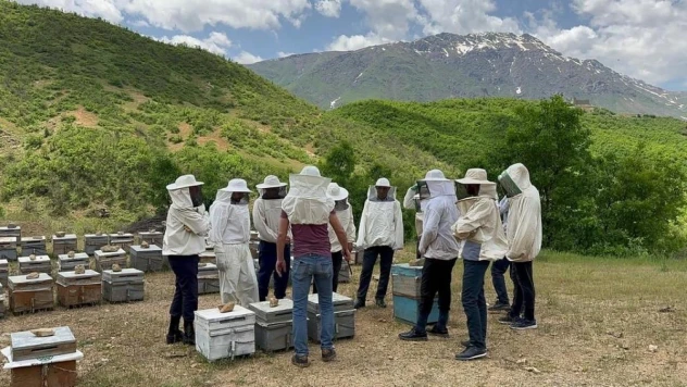 Şemdinli'de arıcılık kursuna yoğun ilgi