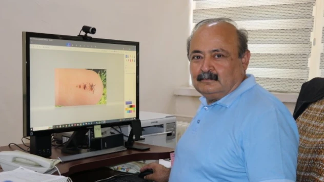 Sıcak hava keneleri harekete geçirdi: 1 kene, 10 bine yakın yumurta bırakabiliyor