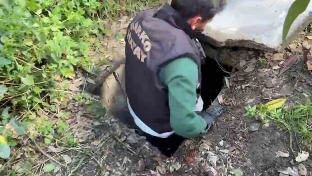 Sığınakta kurduğu sistemle kenevir yetiştirdi