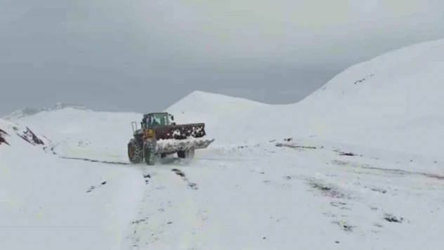 Siirt'te kar nedeniyle kapanan köy yolları ulaşıma açıldı