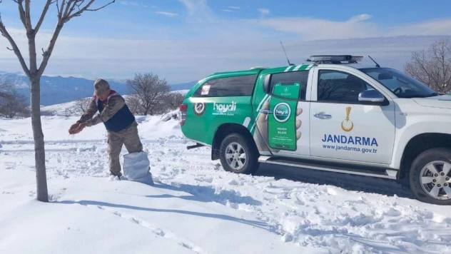Siirt'te yaban hayvanları için doğaya yem bırakıldı