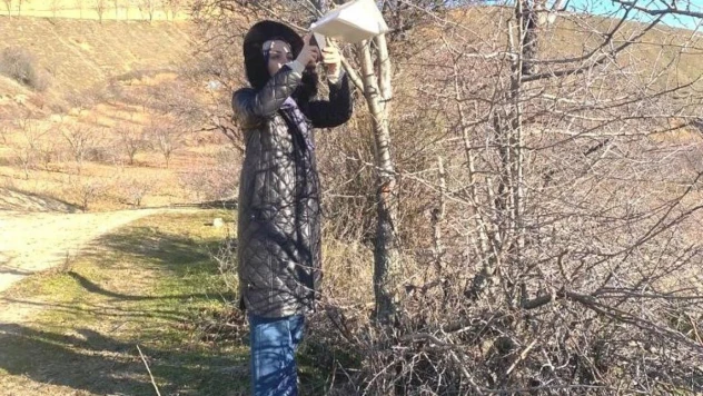 Simav'da Akdeniz meyve sineği ile mücadele çalışmaları