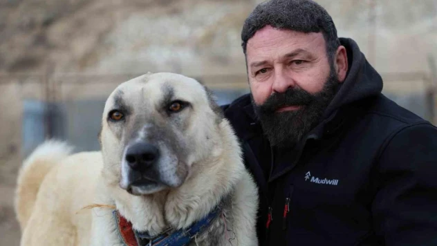 Sınır ötesi güvenliği için kangal tavsiyesi