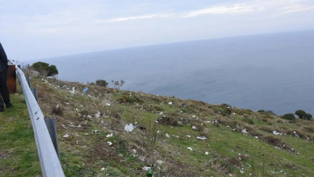 Sinop'ta üzücü görüntü