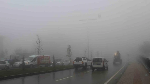 Şırnak sağanak yağış ve sise teslim oldu: Sel suları ağaçları kökünde söktü