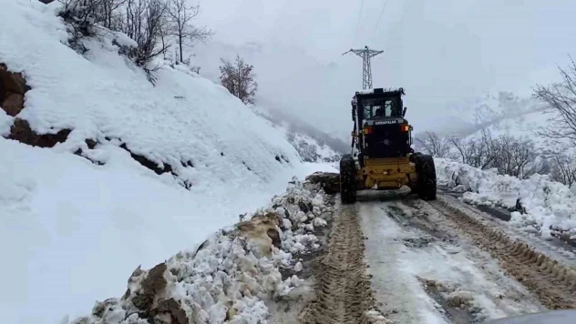 Şırnak'ta kar yağışı hayatı olumsuz etkiledi