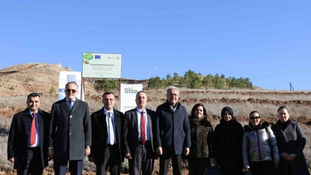 Sivas TSO, 10 bin fidanı toprakla buluşturdu