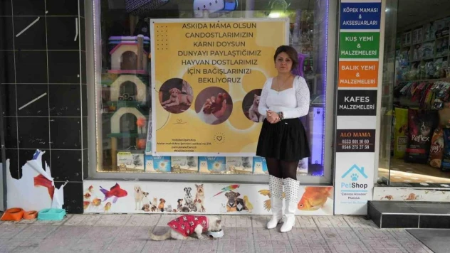 Sokak hayvanları için 'Askıda mama' kampanyası