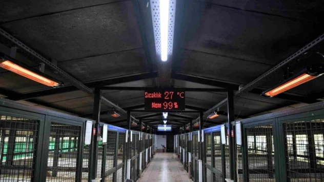 Sokak hayvanları için tam zamanlı ısıtıcılar devrede