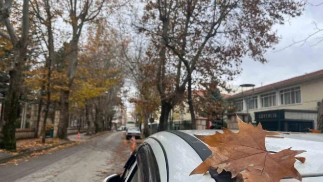 Sokaktaki sonbahar manzarası mest etti