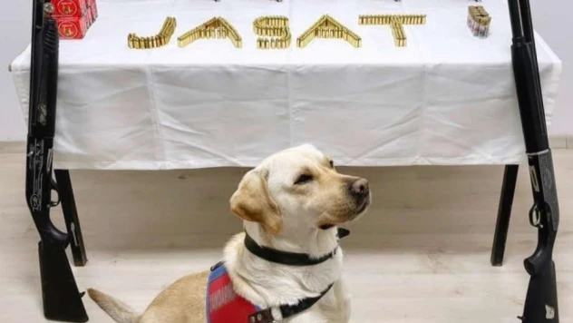 Söke'de kaçak silah operasyonu