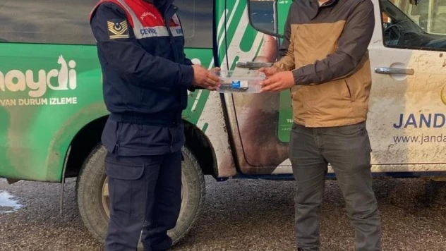 Sosyal medyadan satılmaya çalışılan piton yılanına el konuldu