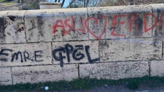 Talazan Köprüsü'nü Niksar Jandarma ve Belediye Ekipleri Temizledi