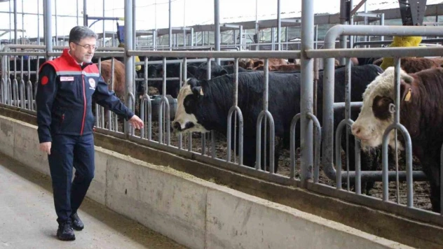 Tarım ve Orman Bakanı Yumaklı: '31 milyar dolara ulaşan gıda ihracatını 40 milyar dolara çıkarmanın gayretindeyiz'