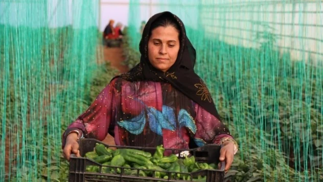 Tarımsal girdi enflasyonu ekimde yüzde 40,11 oldu