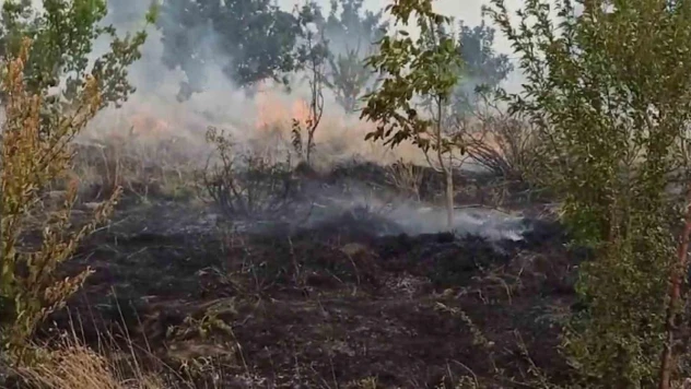 Tatvan'da örtü yangını