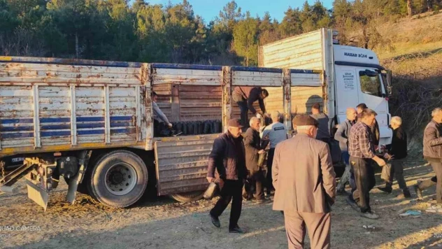 Tavşanlı'da köylülere 750 hünnap fidanı dağıtıldı