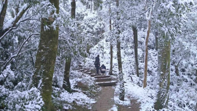 Tayvan'da soğuk hava dalgası: 2 günde 145 kişi öldü