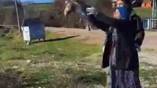 Tedavisi tamamlanan şahin yeniden doğaya salındı