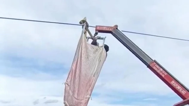 Telefon direğinde mahsur kalan kediyi köylüler kurtardı