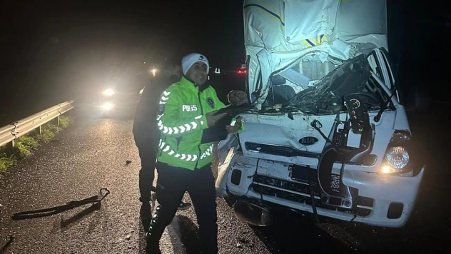 TEM'de kamyonet kamyona çarptı: 1 ölü