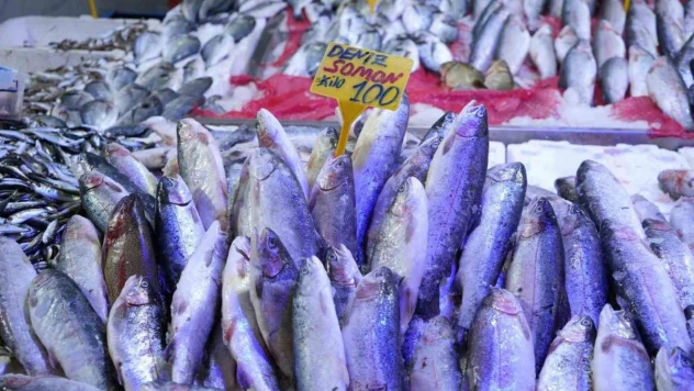 Tezgahların gözdesi somon ve istavrit