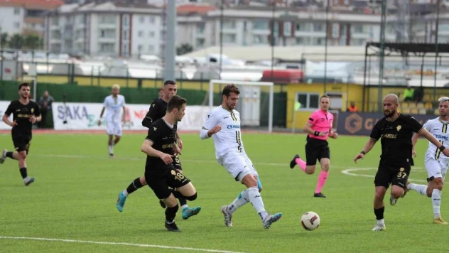TFF 3. Lig: Aliağaspor FK: 2 - Gümüşhane Sportif Faaliyetler: 1